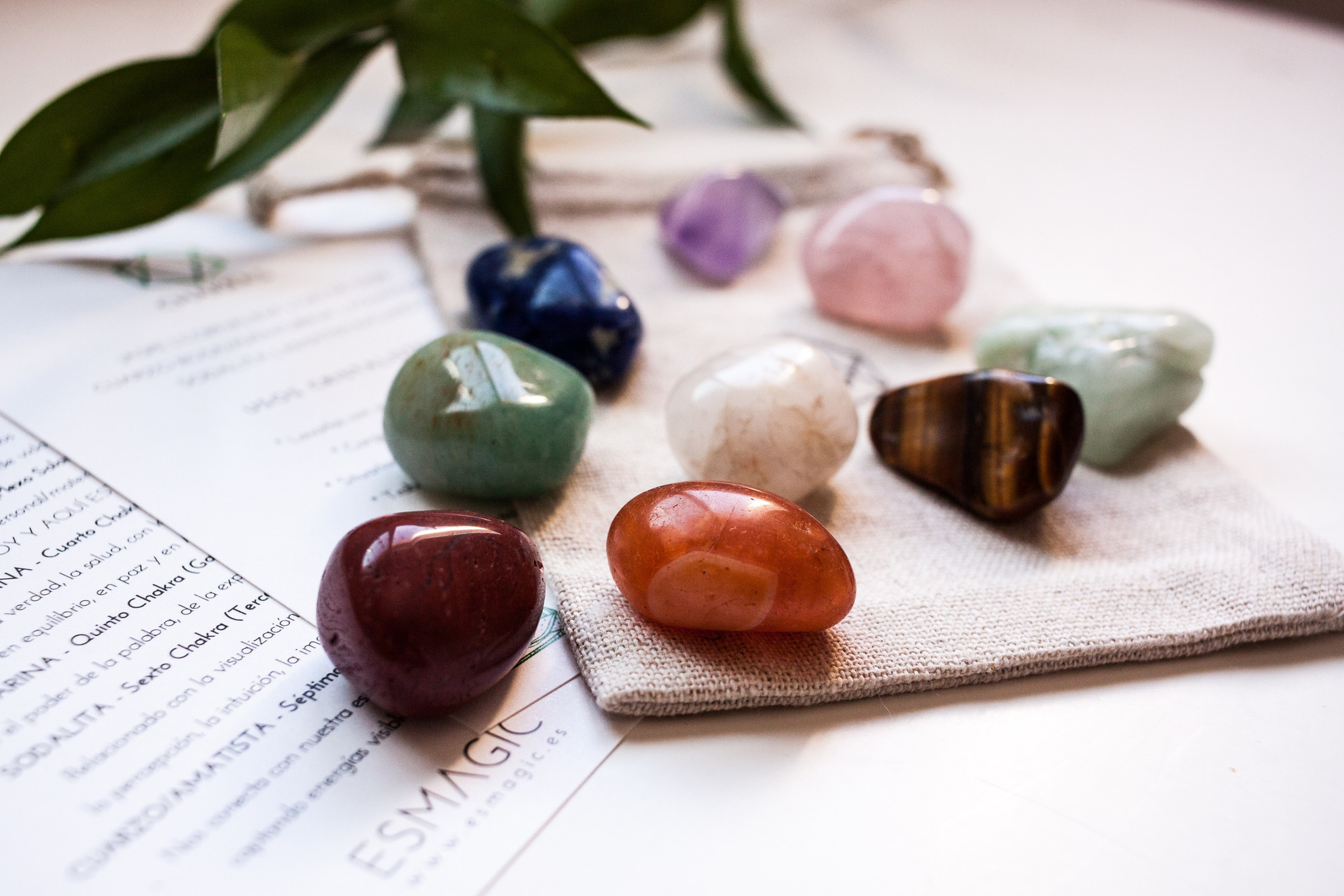 House of Synergy in Lecanto, FL (6)