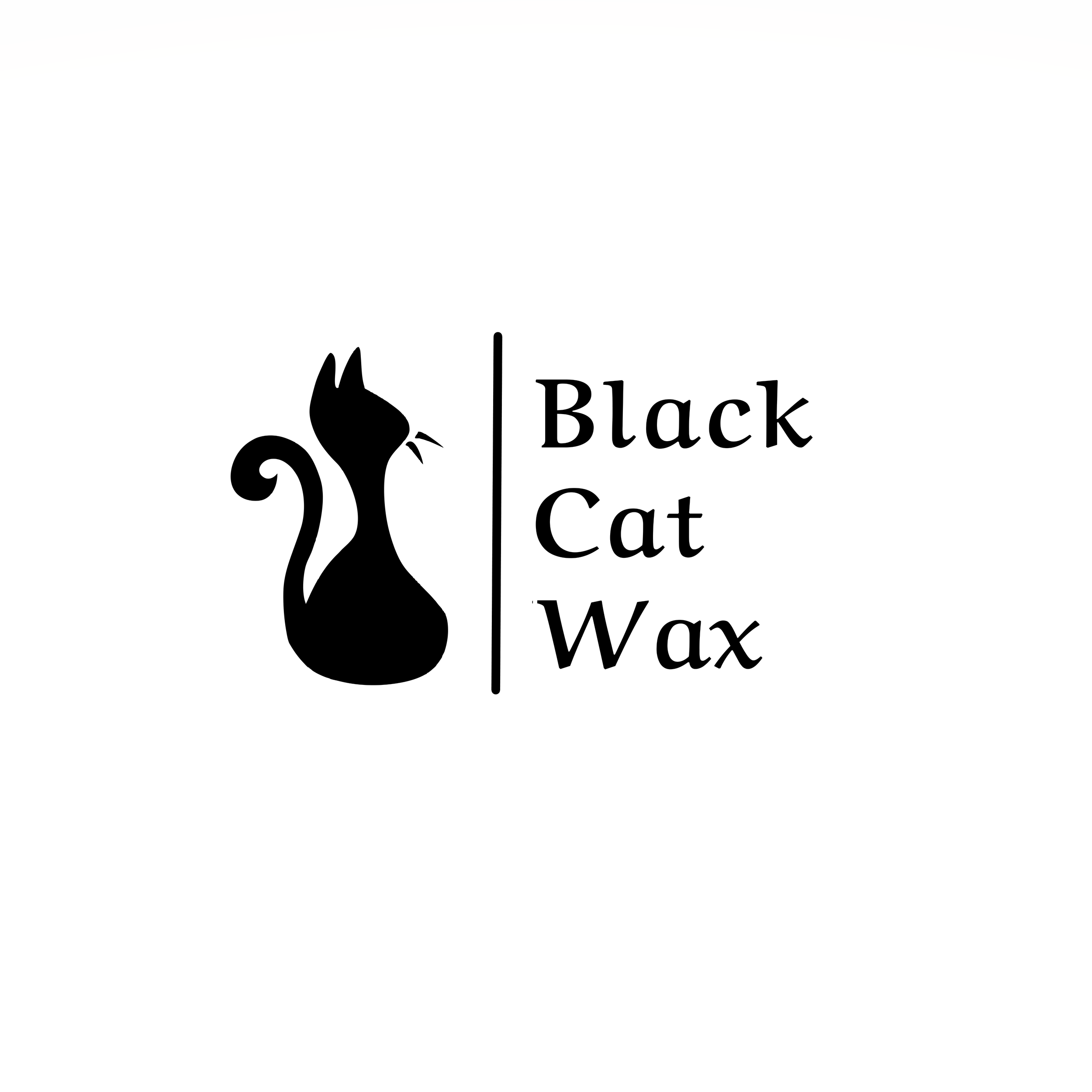Black Cat Wax in Gainesville, VA