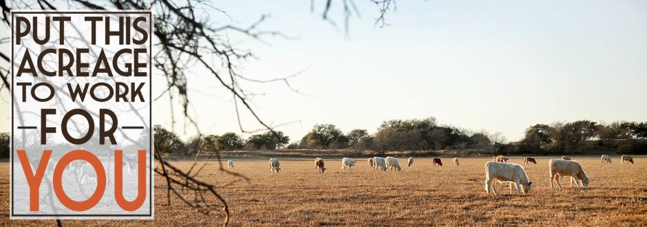 McGregor Real Estate in Hamilton, TX (4)