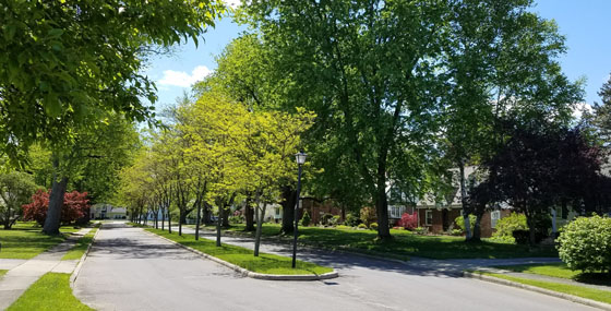 Ewell & Associates Inc in Norwalk, OH (4)