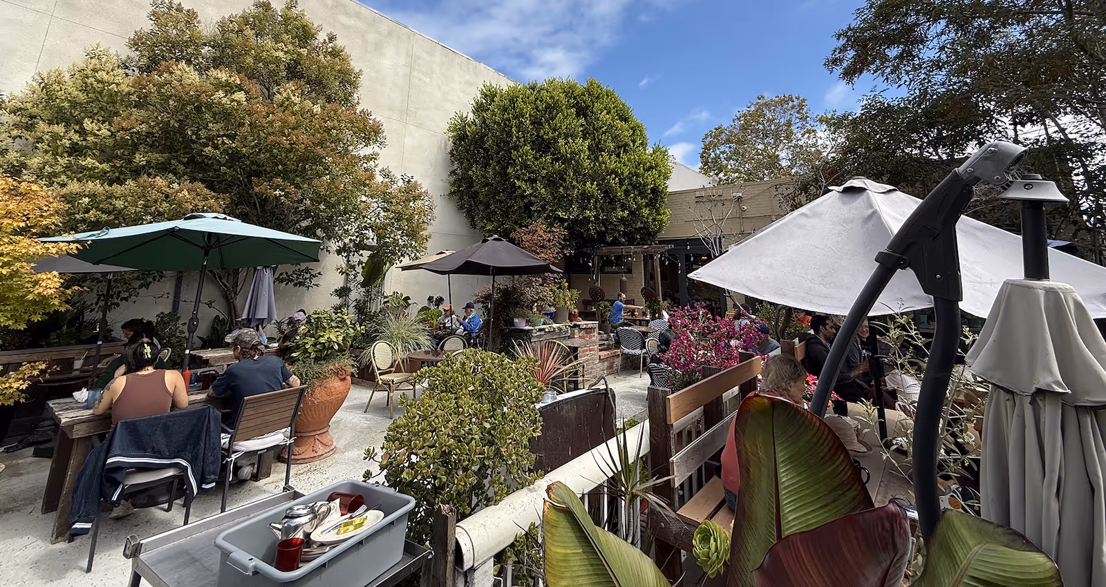 Cafe Leila in Berkeley, CA