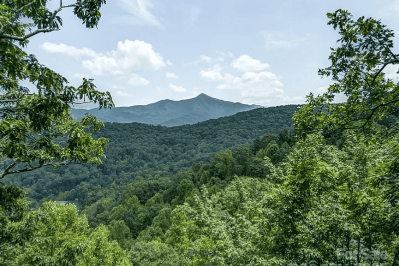 Amanda Jonnala Real Estate (Looking Glass Realty) in Brevard, NC