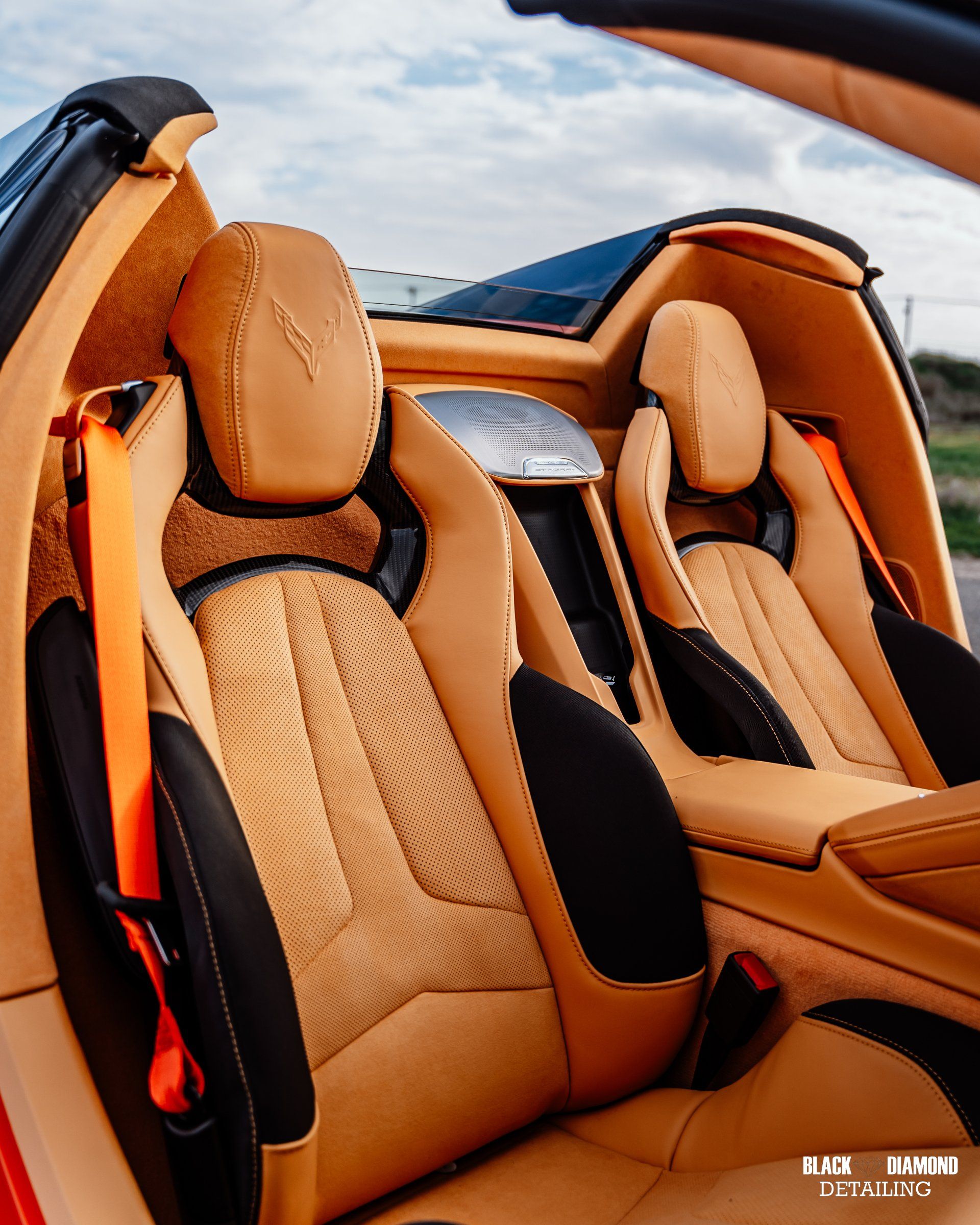Black Diamond Detailing in Modesto, CA (3)