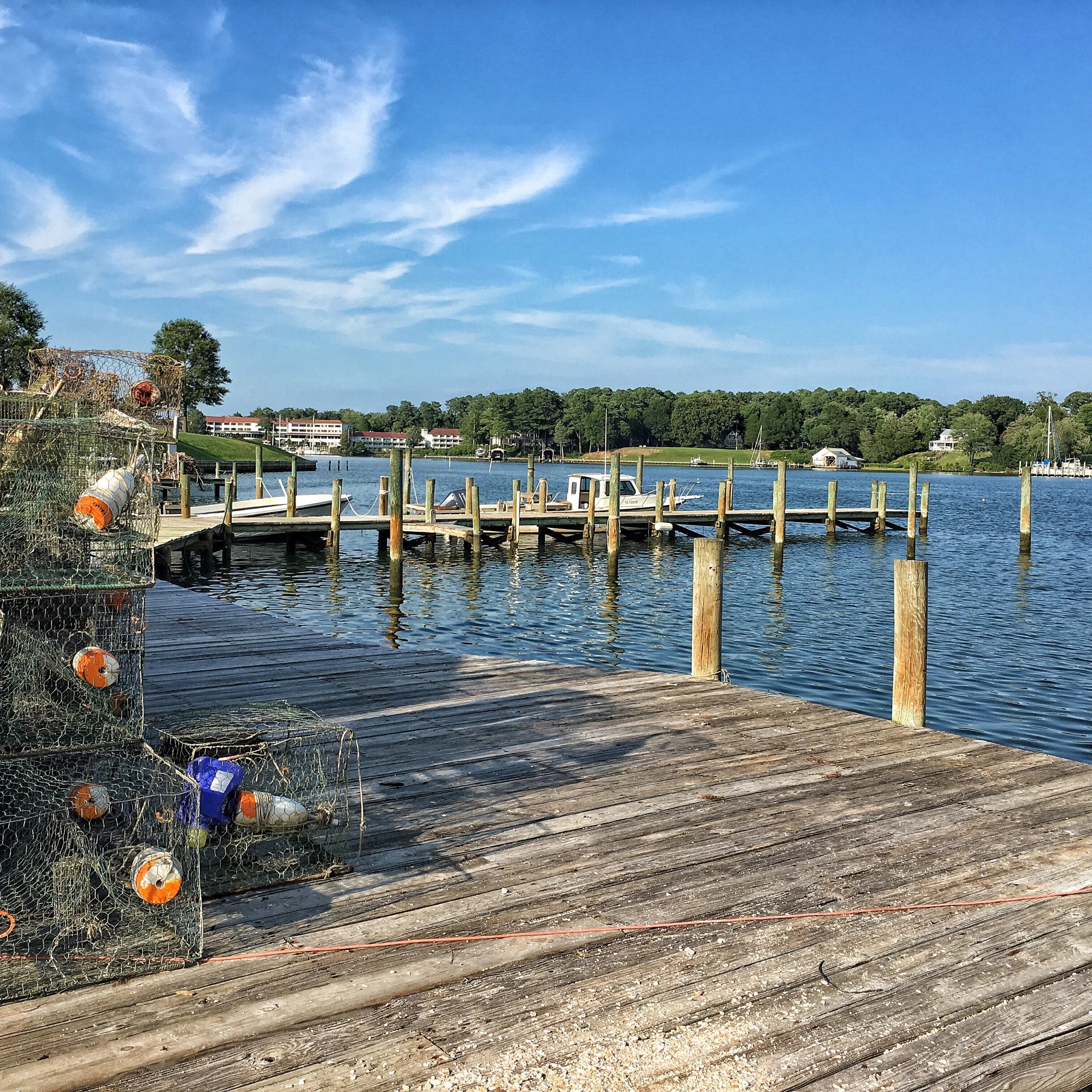 Jim & Pat Carter Real Estate, Inc. in White Stone, VA (3)
