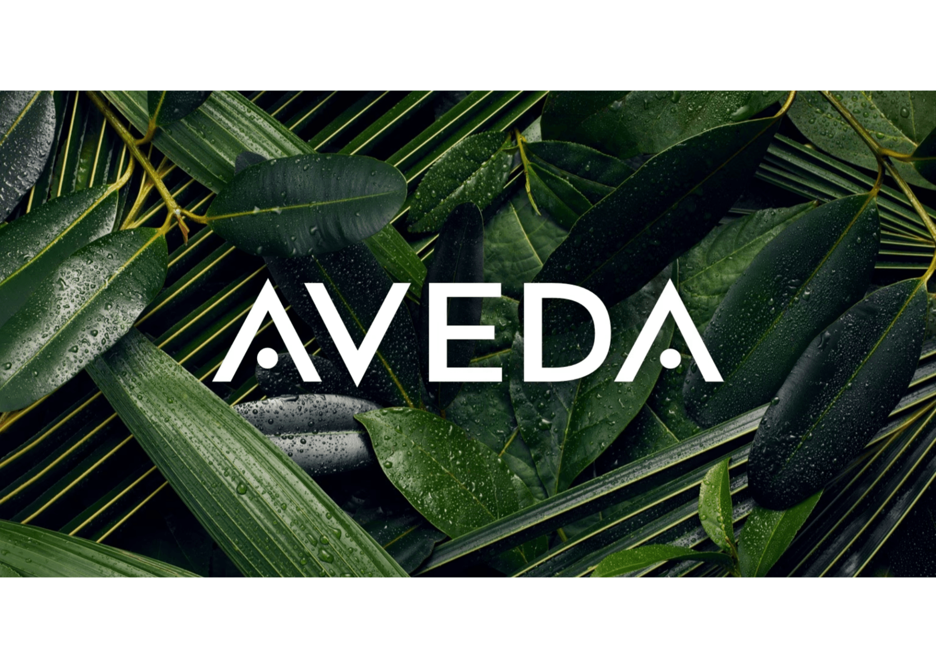 Cass And Company Salon in Avon, IN