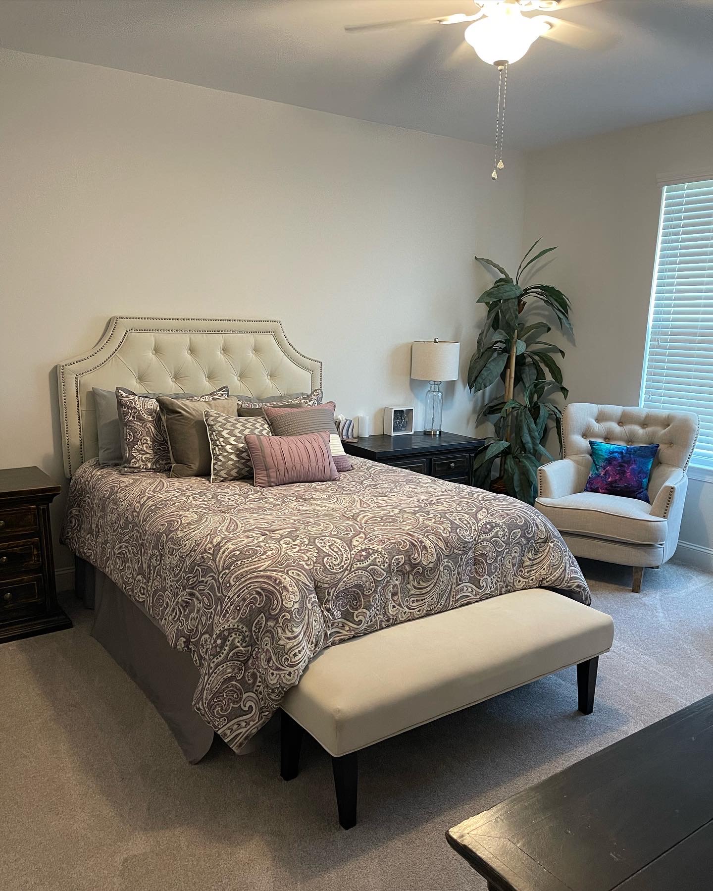 Sponge Clean in Raleigh, NC (2)