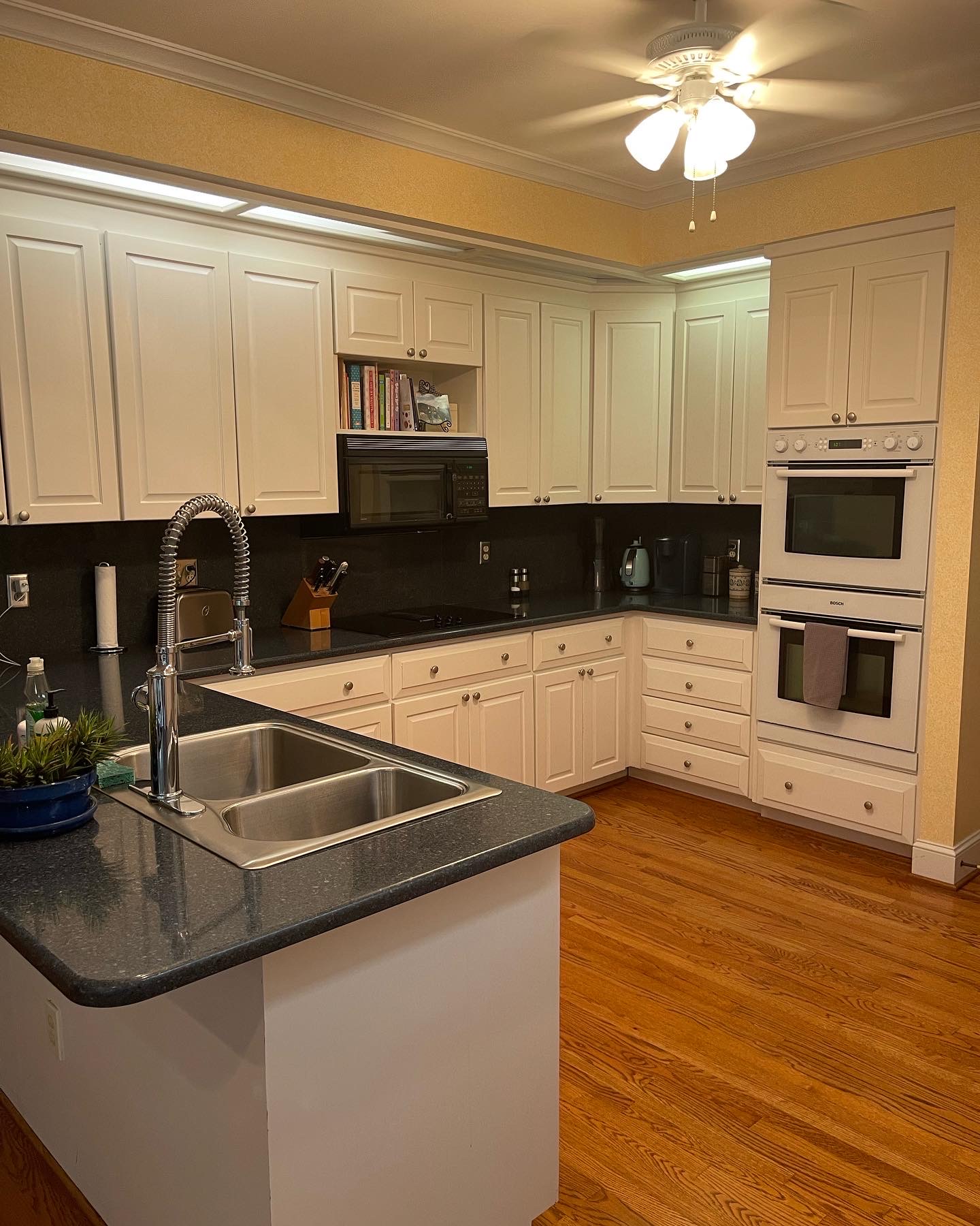 Sponge Clean in Raleigh, NC (5)