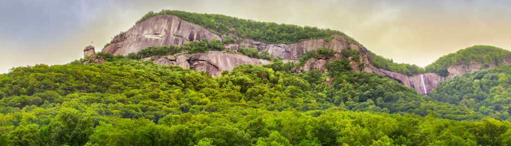 Burntshirt Vineyards Tasting Room and Bistro in Chimney Rock, NC (4)