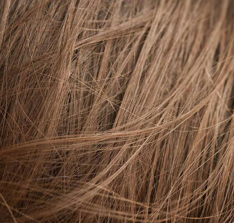 Organic Hair by Sabe in Stuart, FL (6)