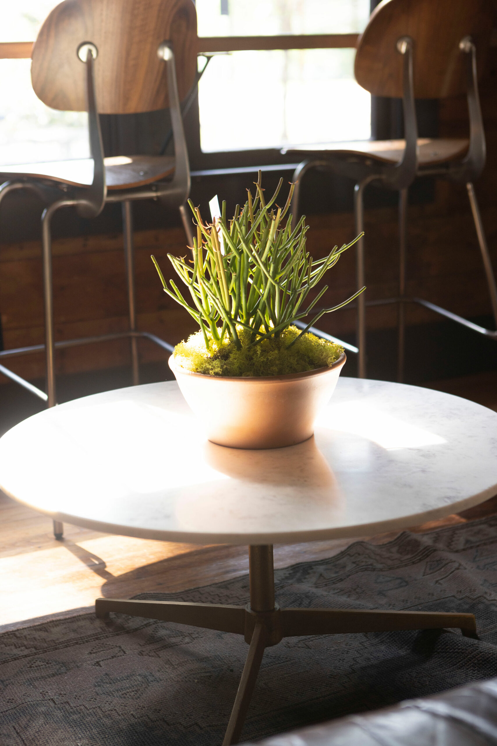 Local Habit in Nash, TX (2)