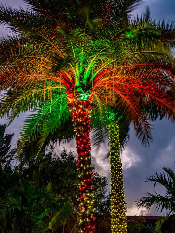 The Resort at Longboat Key Club in Longboat Key, FL (3)