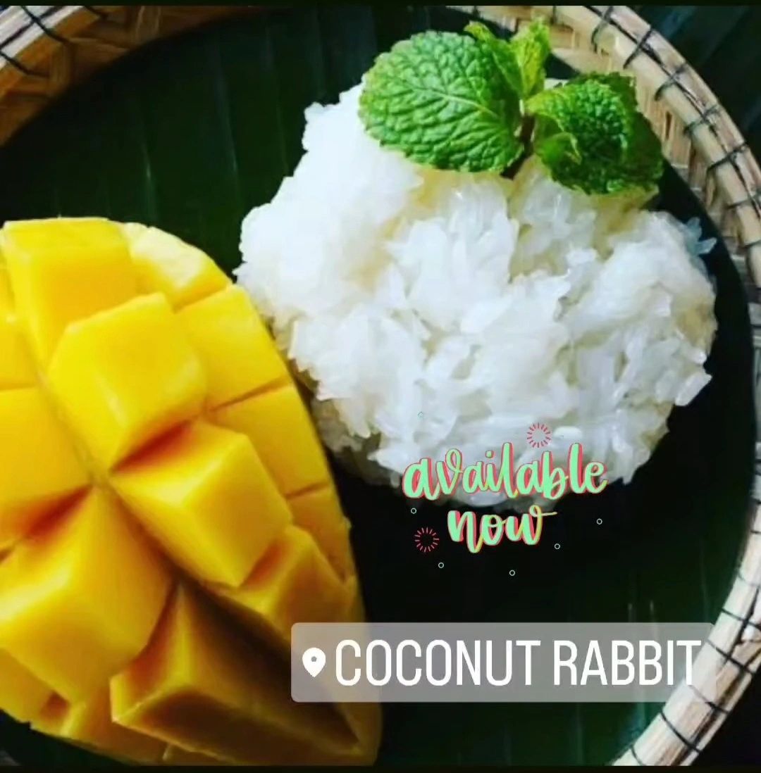 Coconut Rabbit | Thai in Los Alamitos, CA