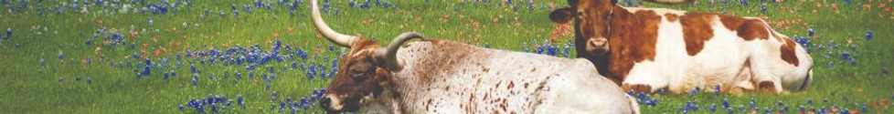 Hart Land Real Estate in La Grange, TX