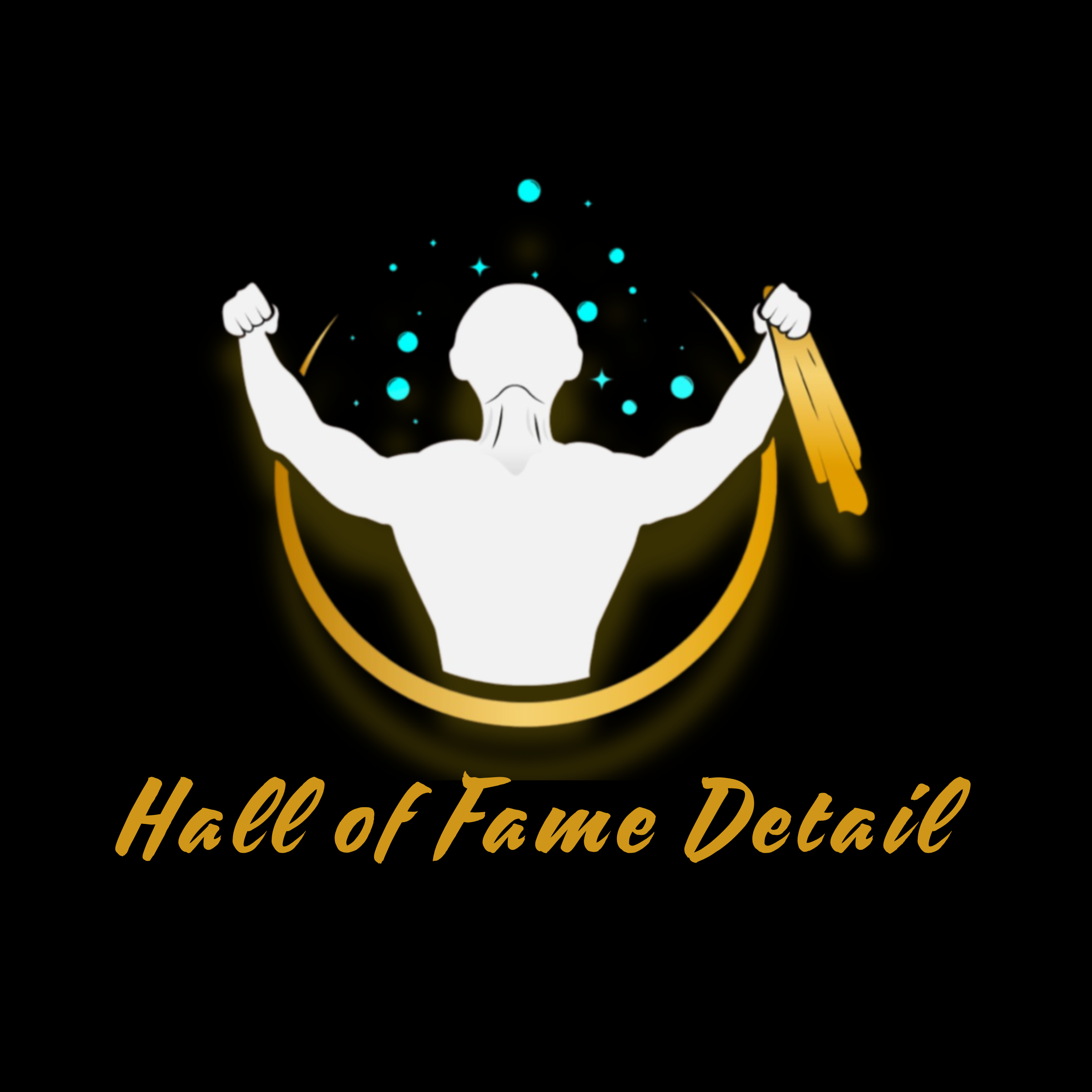 Hall of Fame Detail - Mobile Window Tinting & Mobile Car Detailing in Austin, TX (3)
