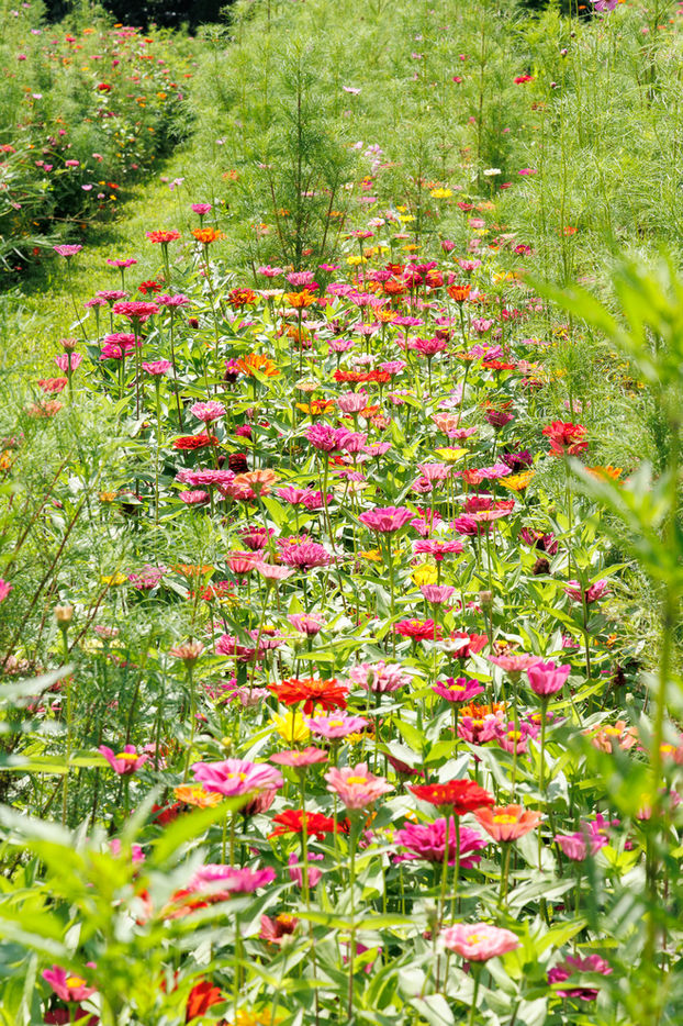 Explore Blackstone in Blackstone, VA (2)