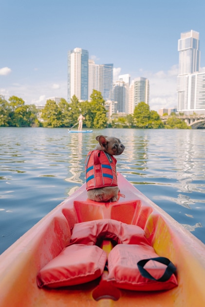 Rise and Shine Realty - Austin Real Estate Agent in Austin, TX (5)