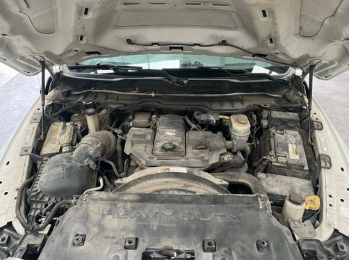 Gro Mobile Detailing in Shannon, AL (2)