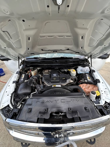 Gro Mobile Detailing in Shannon, AL (4)