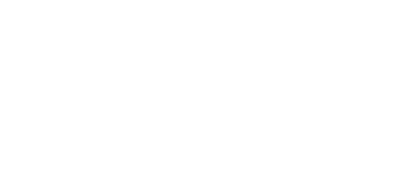Bayles + Black Team - Nest Realty in Asheville, NC (2)