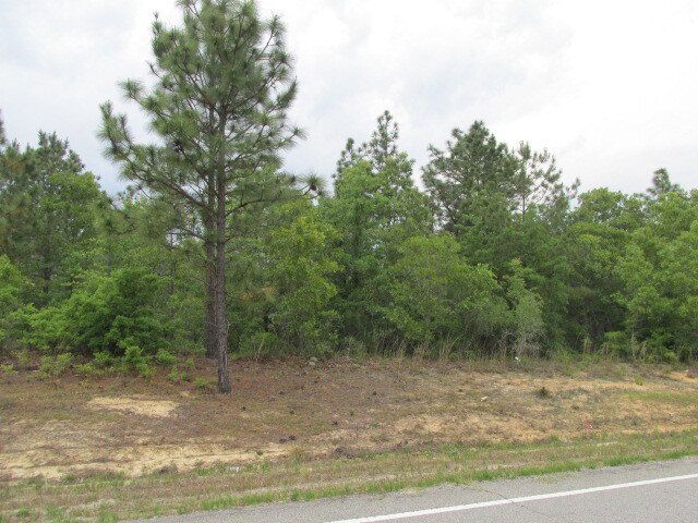 McLeod & Associates in Camden, SC (2)