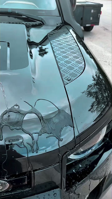 The Sevilla Group Mobile Auto / Aviation / Boat Detailing, Ceramic Coating, & PPF / Vinyl Design Services in Pembroke Pines, FL (3)