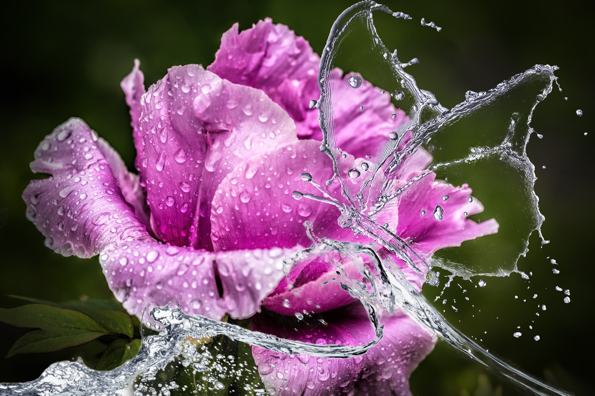 Alisa Thomas - Texas Realtor in Duncanville, TX (2)