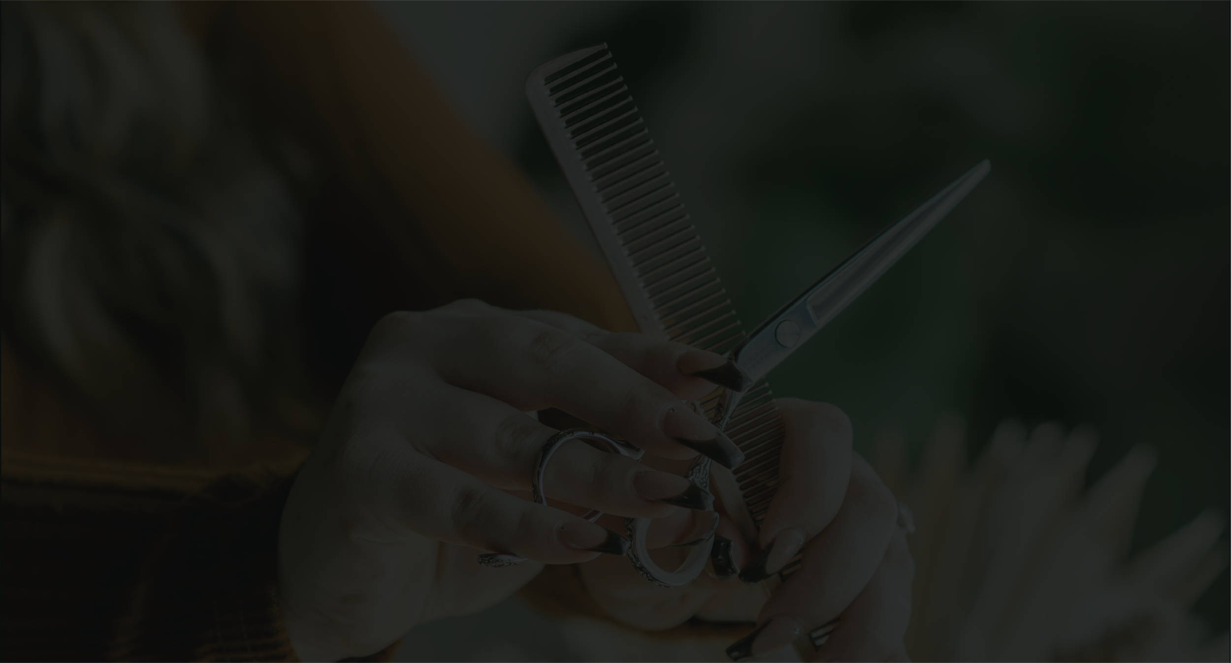 Ron Carlos Salon in Knightdale, NC (3)
