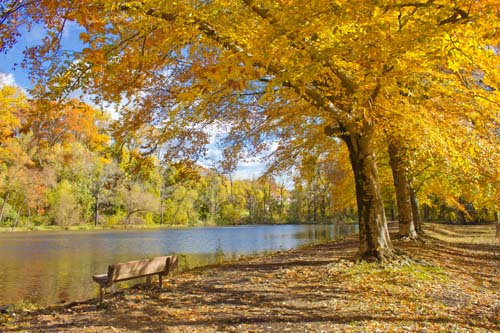 Taylor Real Estate Advisors in Wayne, PA (3)