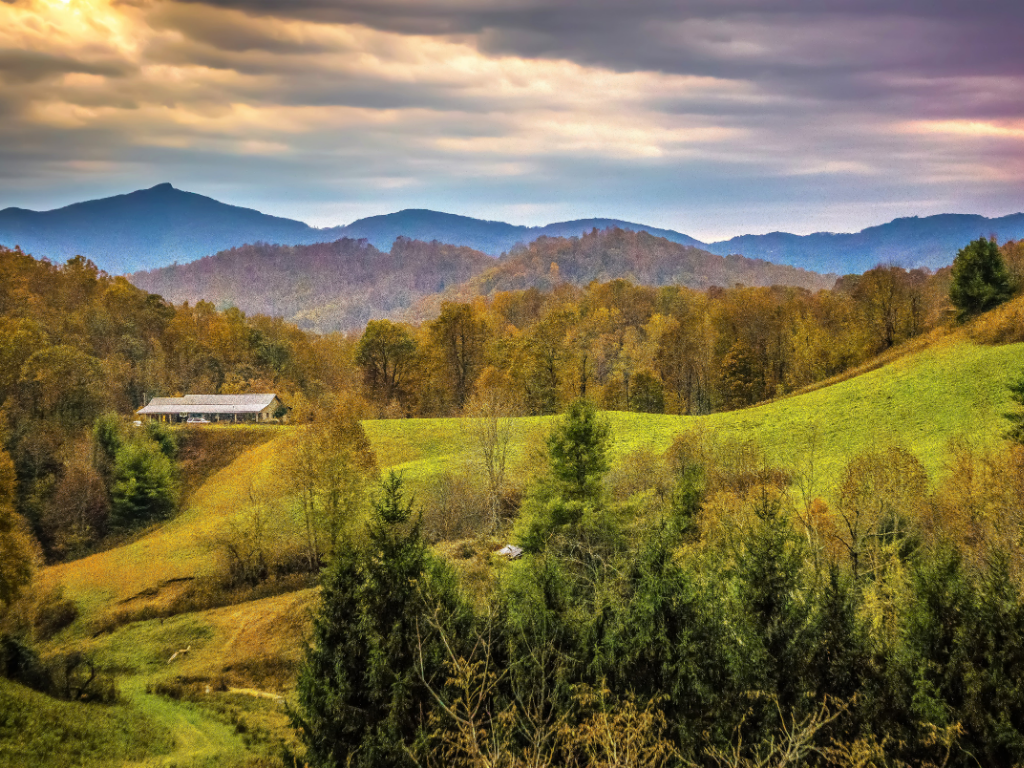 Melanie Dugan REALTOR in Williamston, SC