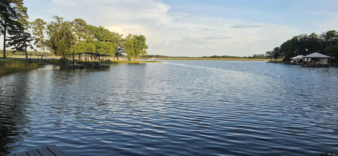 Charlene Hall - East Texas Realtor® in Palestine, TX (3)