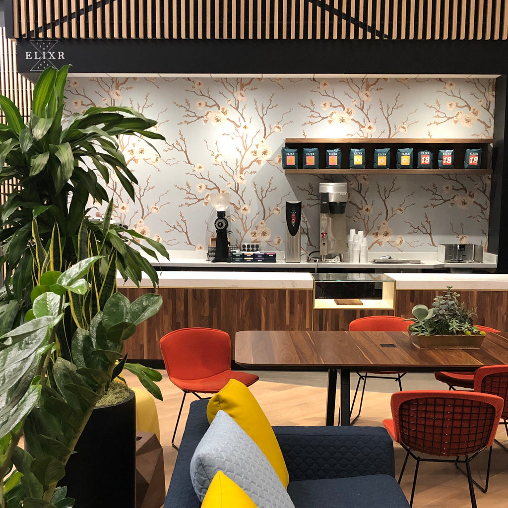 Elixr Coffee Roasters in State College, PA (4)