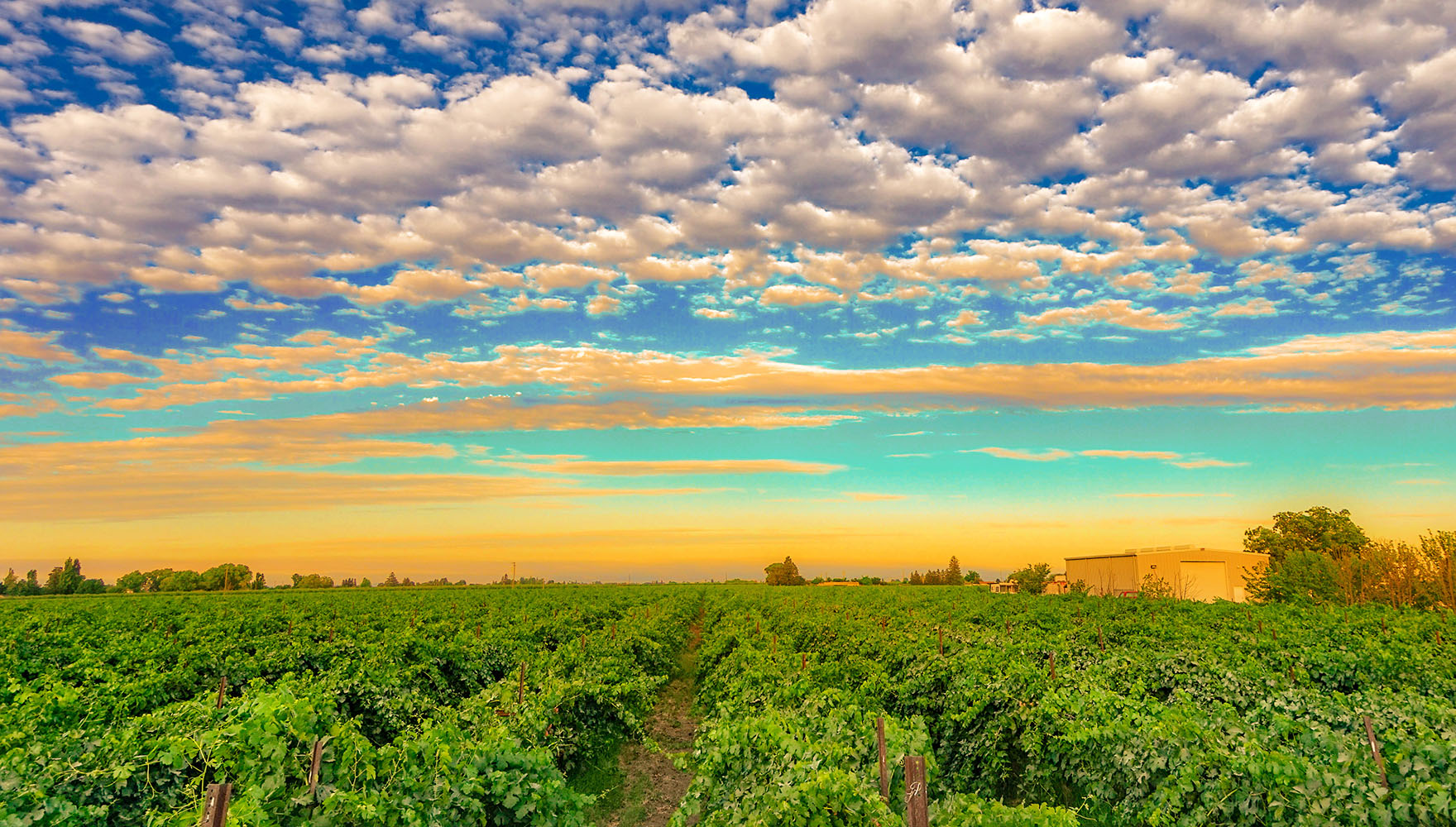 Katherine Sanborn Realtor in Stockton, CA (2)