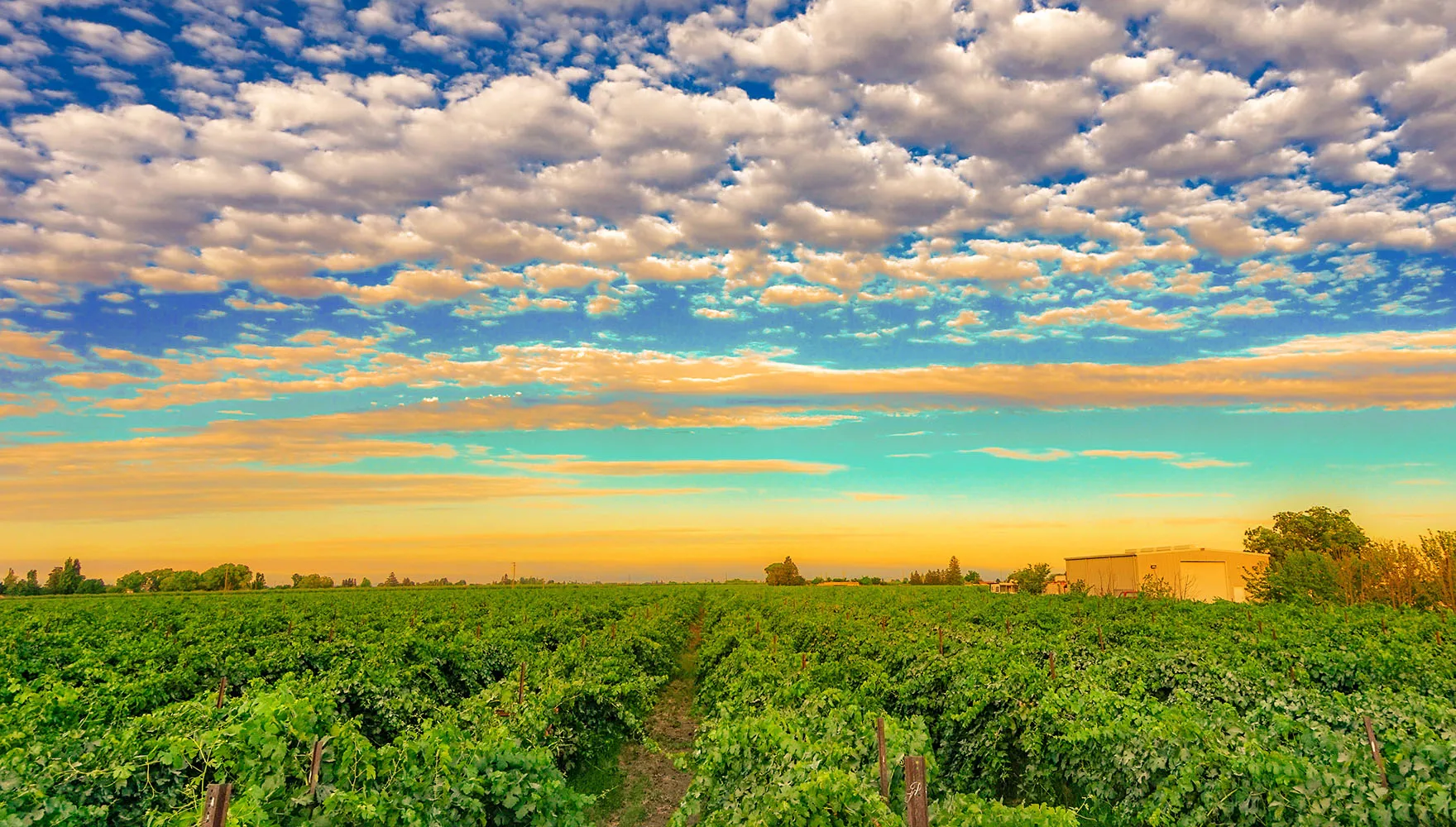Katherine Sanborn Realtor in Stockton, CA (4)