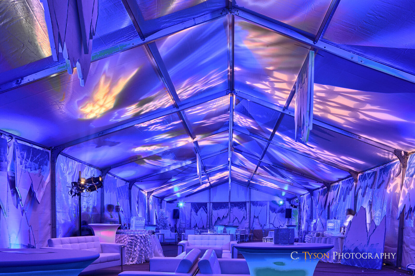 Charizma Entertainment DJs | Weddings | Mitzvahs | Corporate | Non Profit in Northbrook, IL (4)