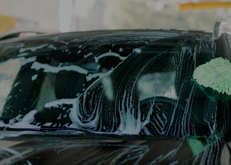 Revived Mobile Detailing in Palm Harbor, FL (3)