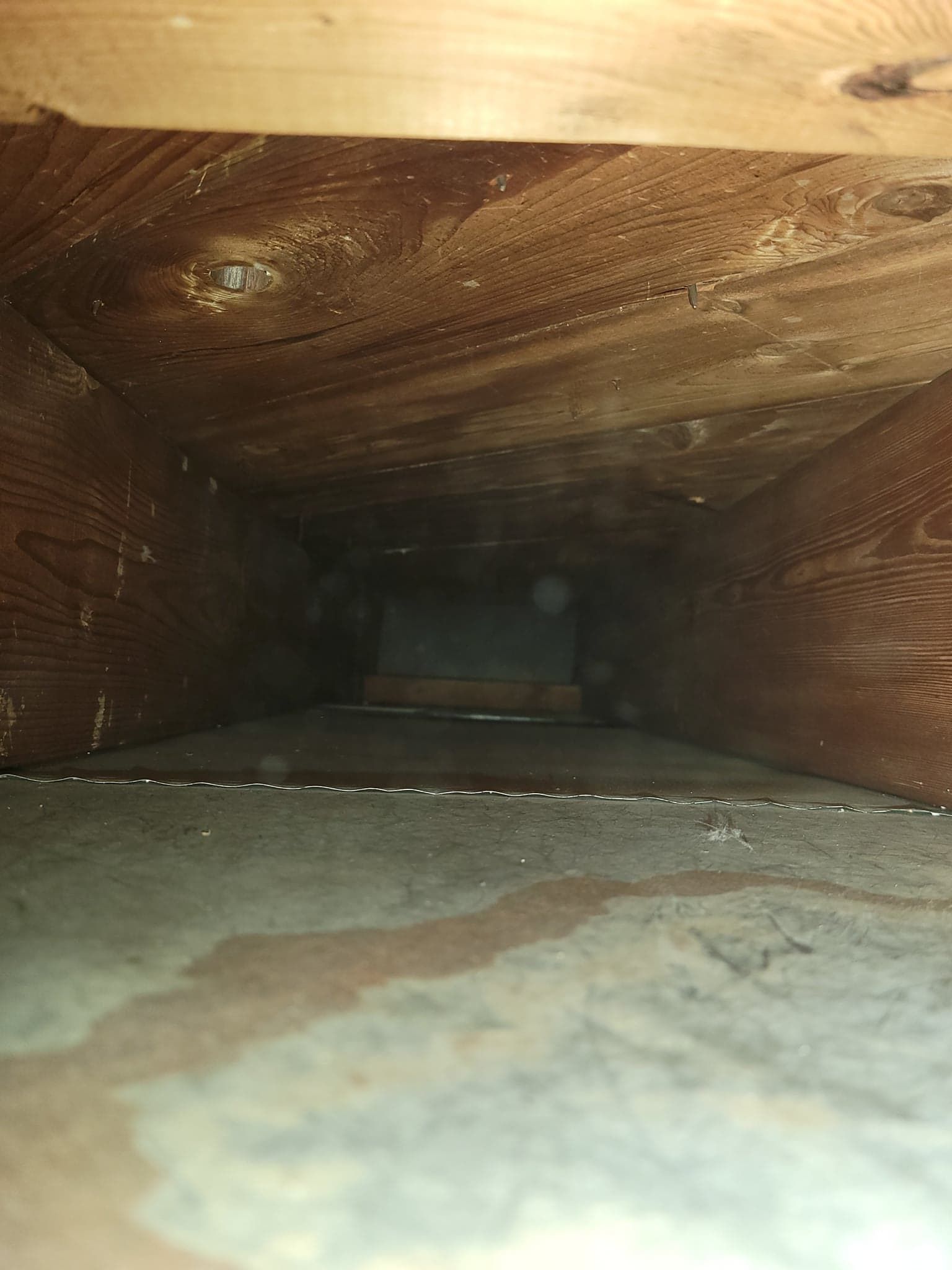Green's Family Cleaning Services in Inkster, MI (3)