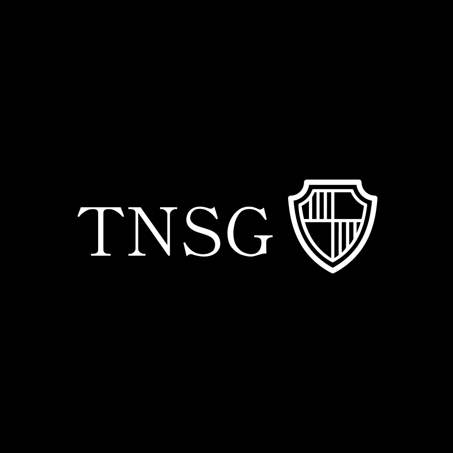 TNSG LLC in Matteson, IL