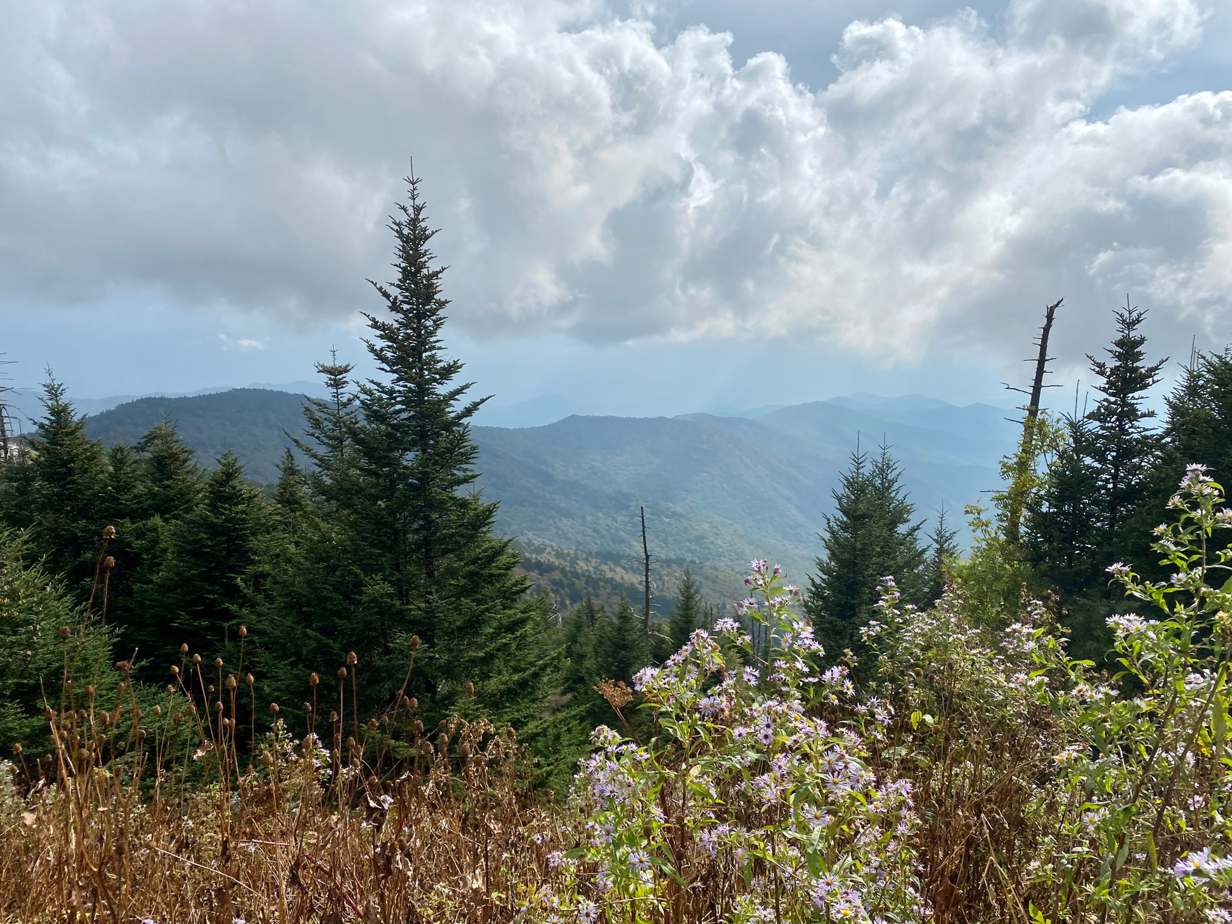 Caulk Legal, PLLC | Attorney-at-Law in Asheville, NC in Skyland, NC (3)