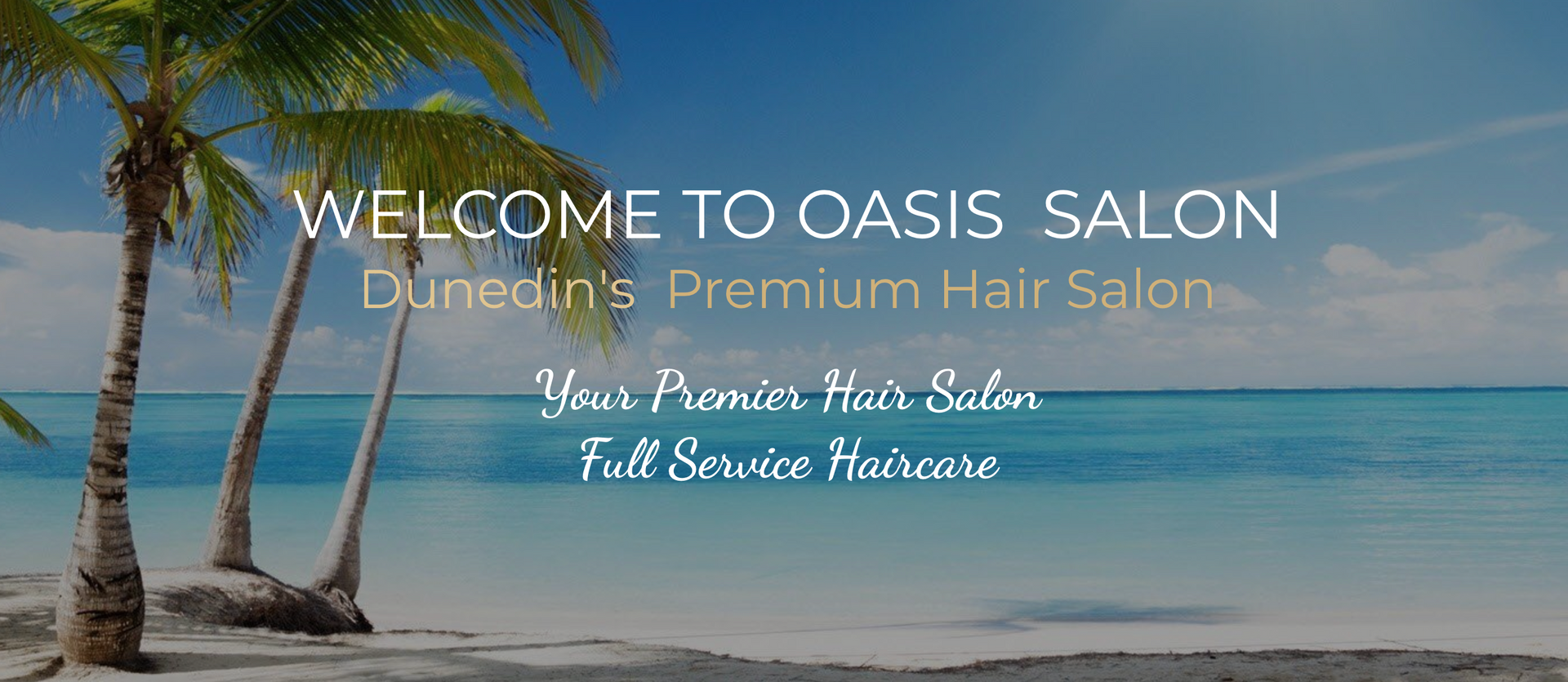 Oasis Salon, Inc. in Dunedin, FL