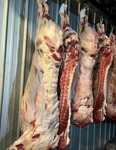 Farmers Pride Processing Llc. in Bowdon, GA (2)