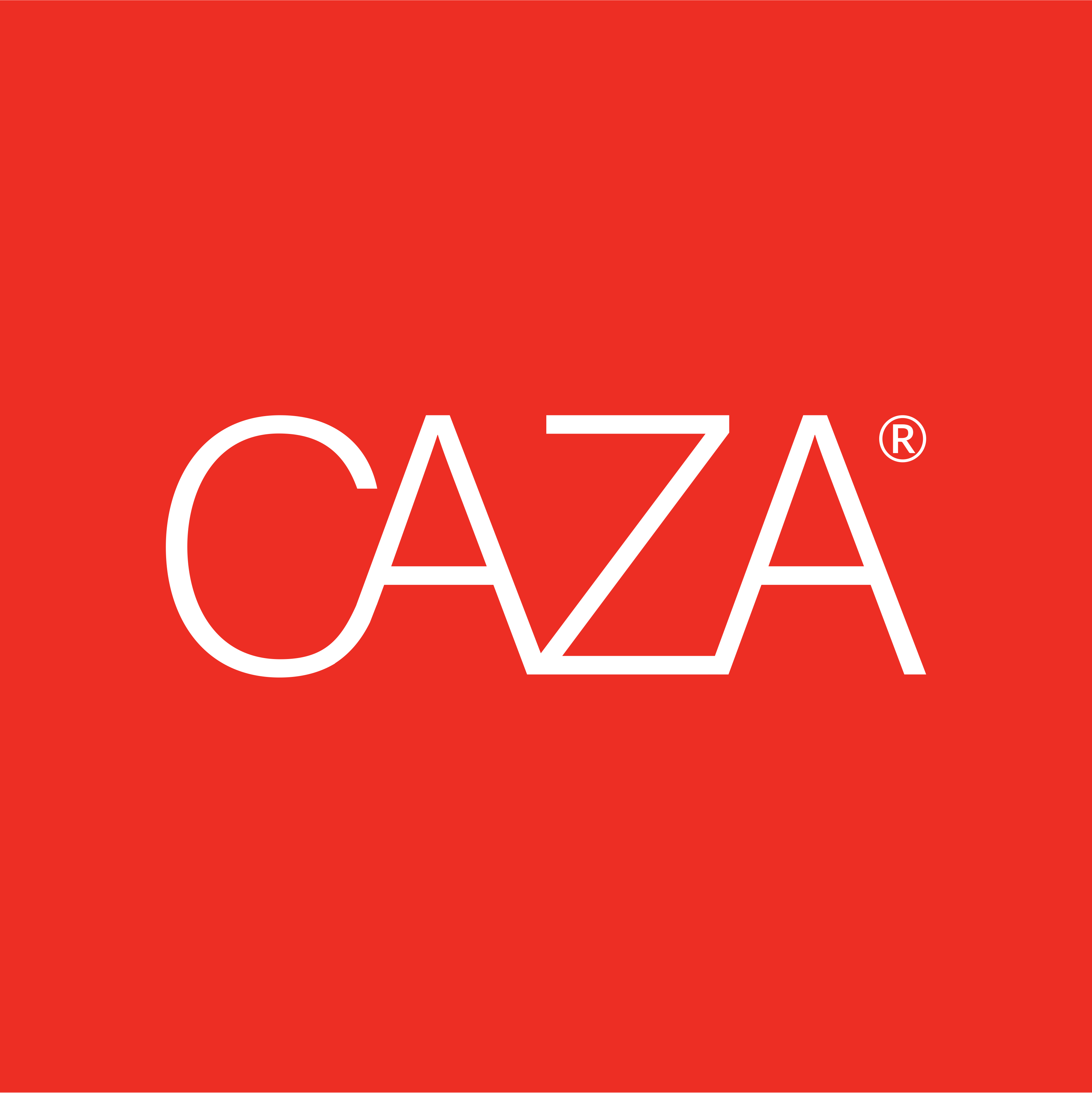 The CAZA Group in Reston, VA