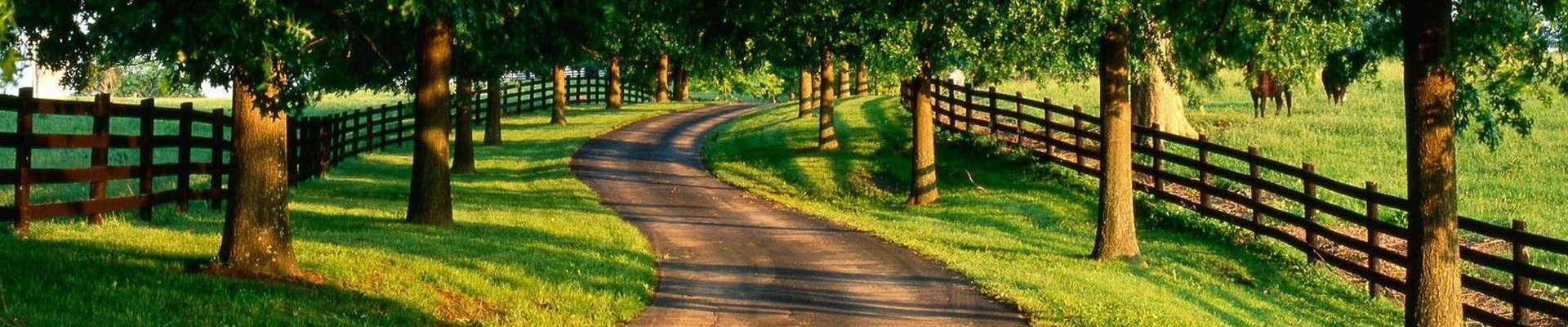 Gwen Smith, REALTOR® in Trenton, FL--United Country Smith & Associates in High Springs, FL (2)