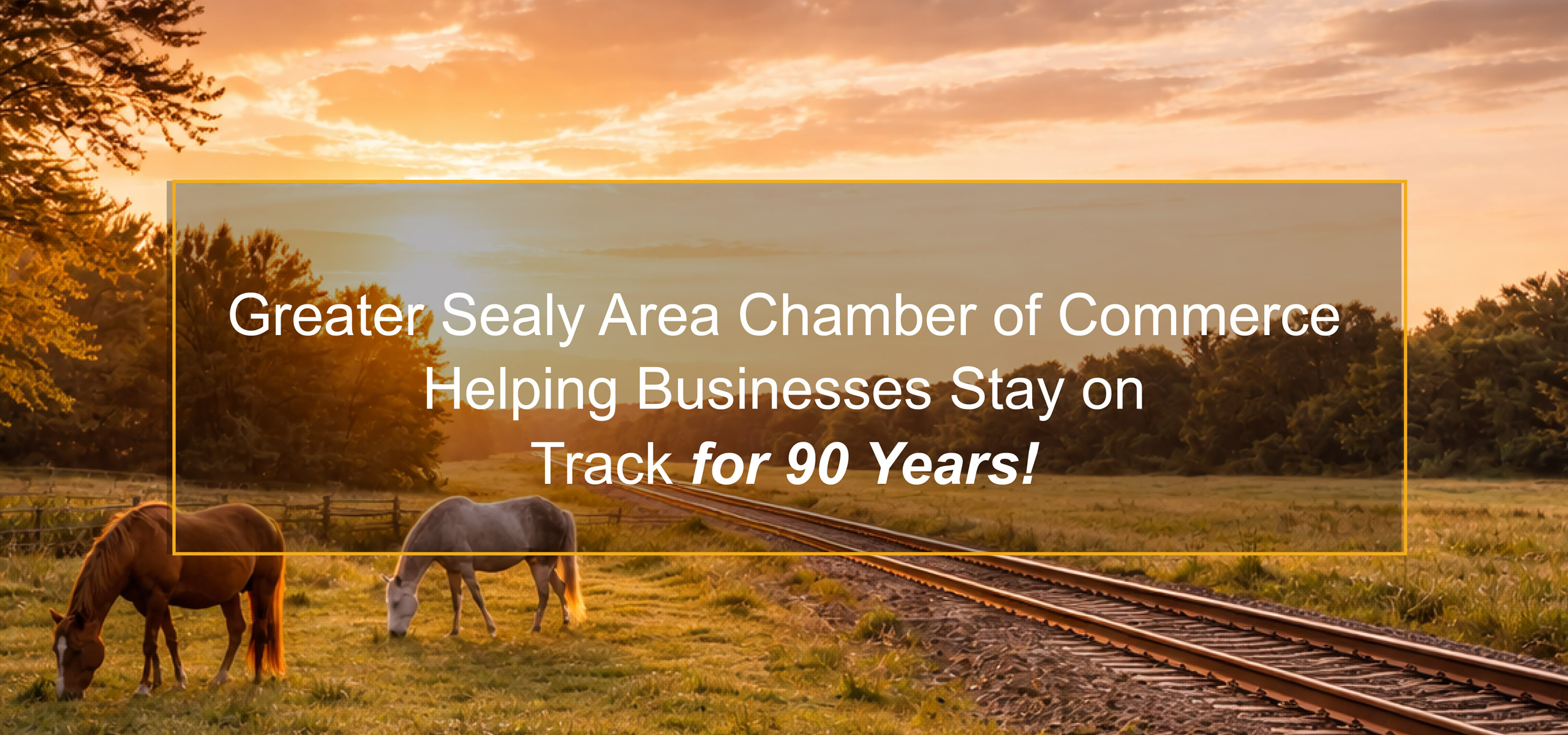 Greater Sealy Area Chamber of Commerce in Sealy, TX (3)