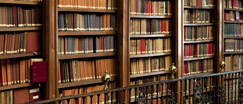 The Law Offices of Edward J. McKarski in Bethlehem, PA (5)