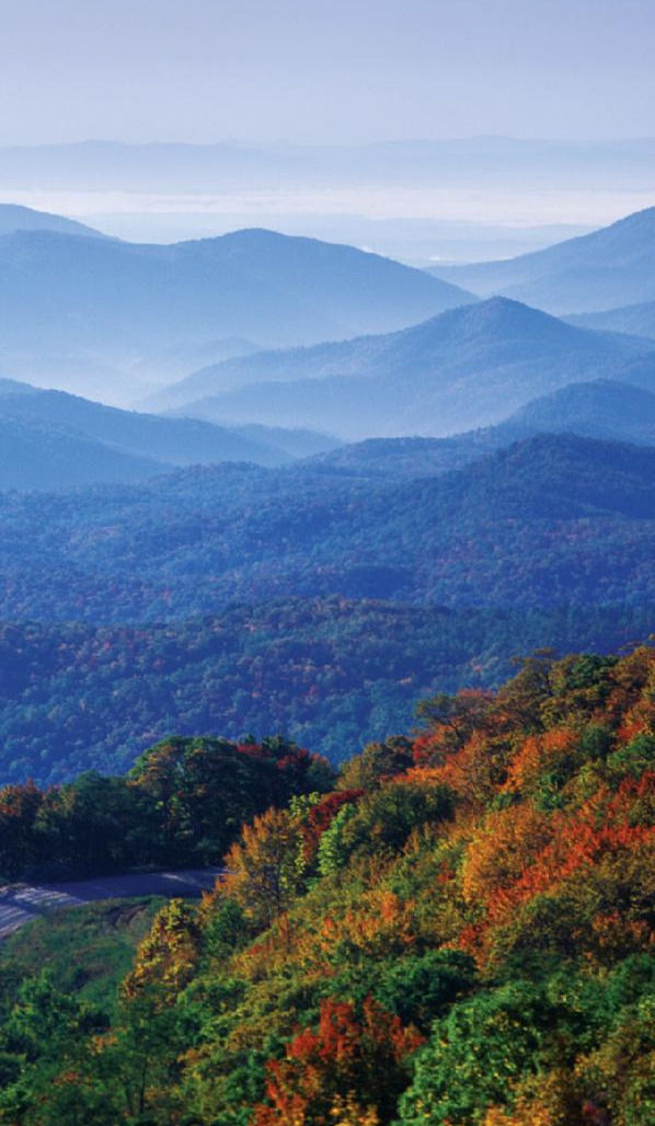 Musial Law Firm PLLC in Weaverville, NC (3)