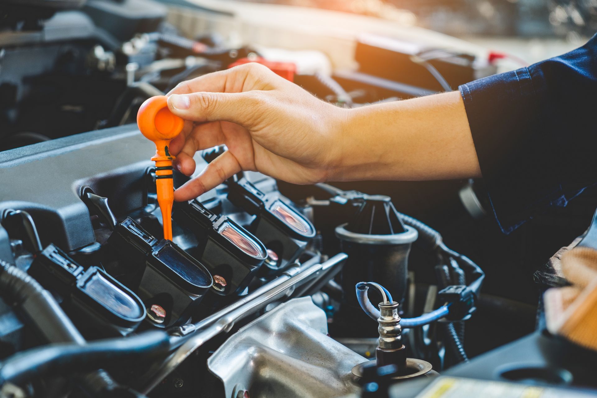 TRP Transmission and Car Care in Jasper, IN