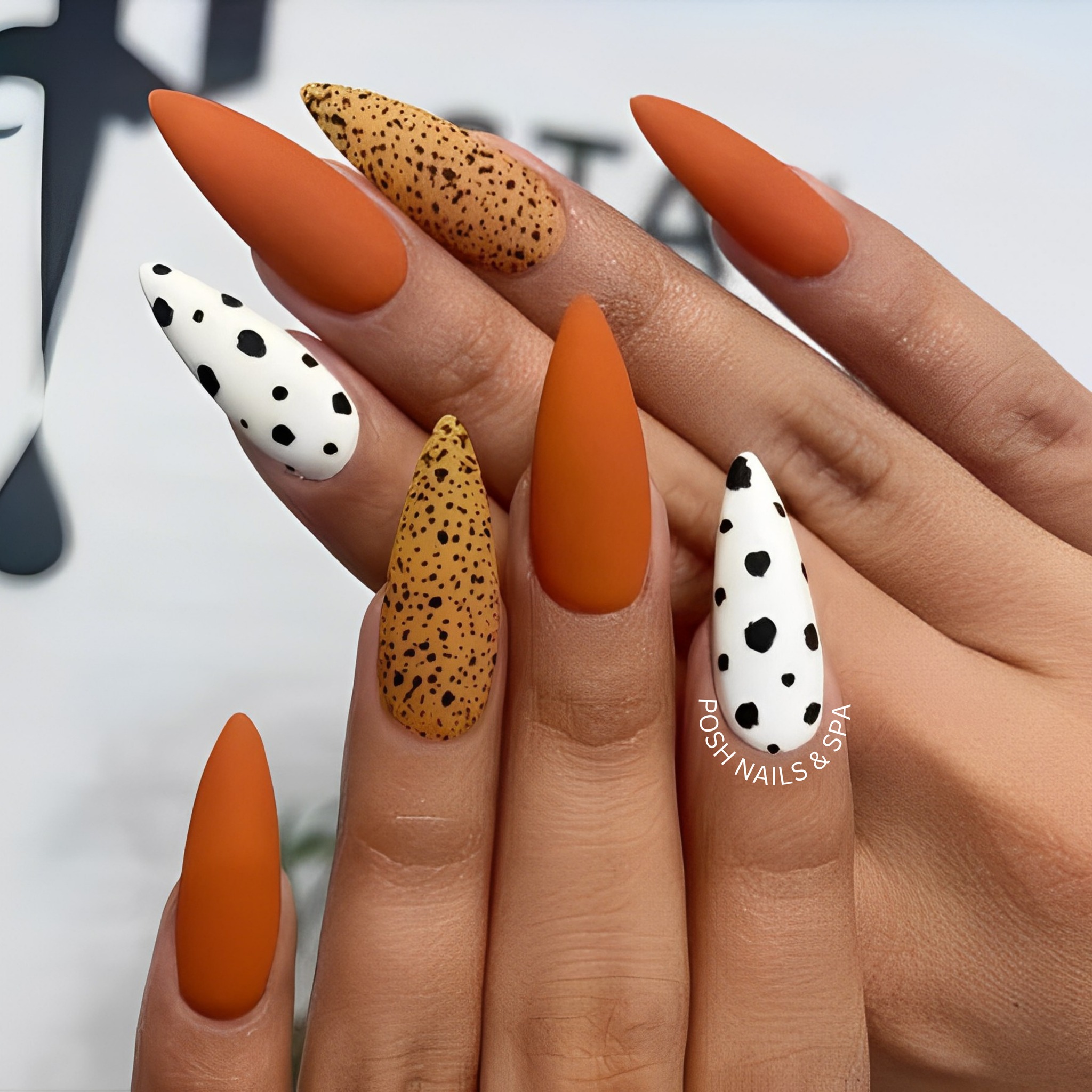 Posh Nails & Spa (10% OFF Military) in La Vernia, TX (3)