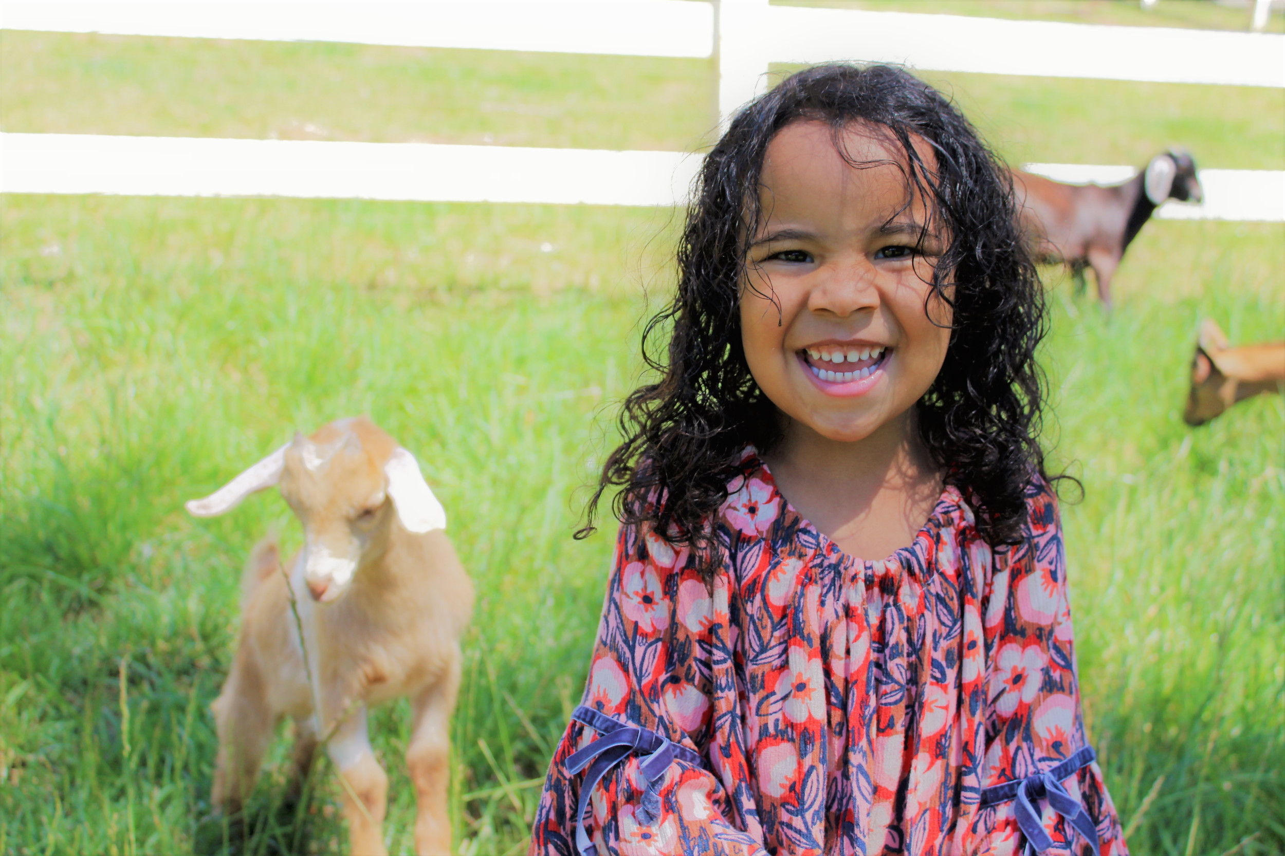 Nightingale Farms in Grass Valley, CA