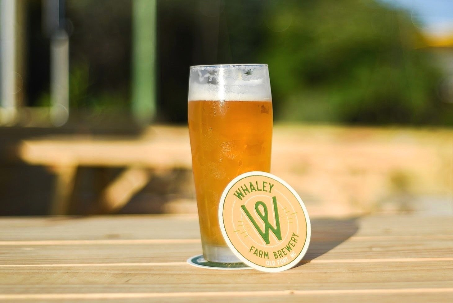 Whaley Farm Brewery in Old Fort, NC (6)