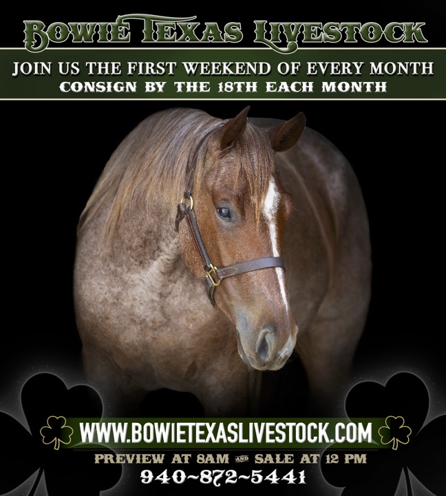 Bowie Texas Livestock Sale Barn in Bowie, TX (4)